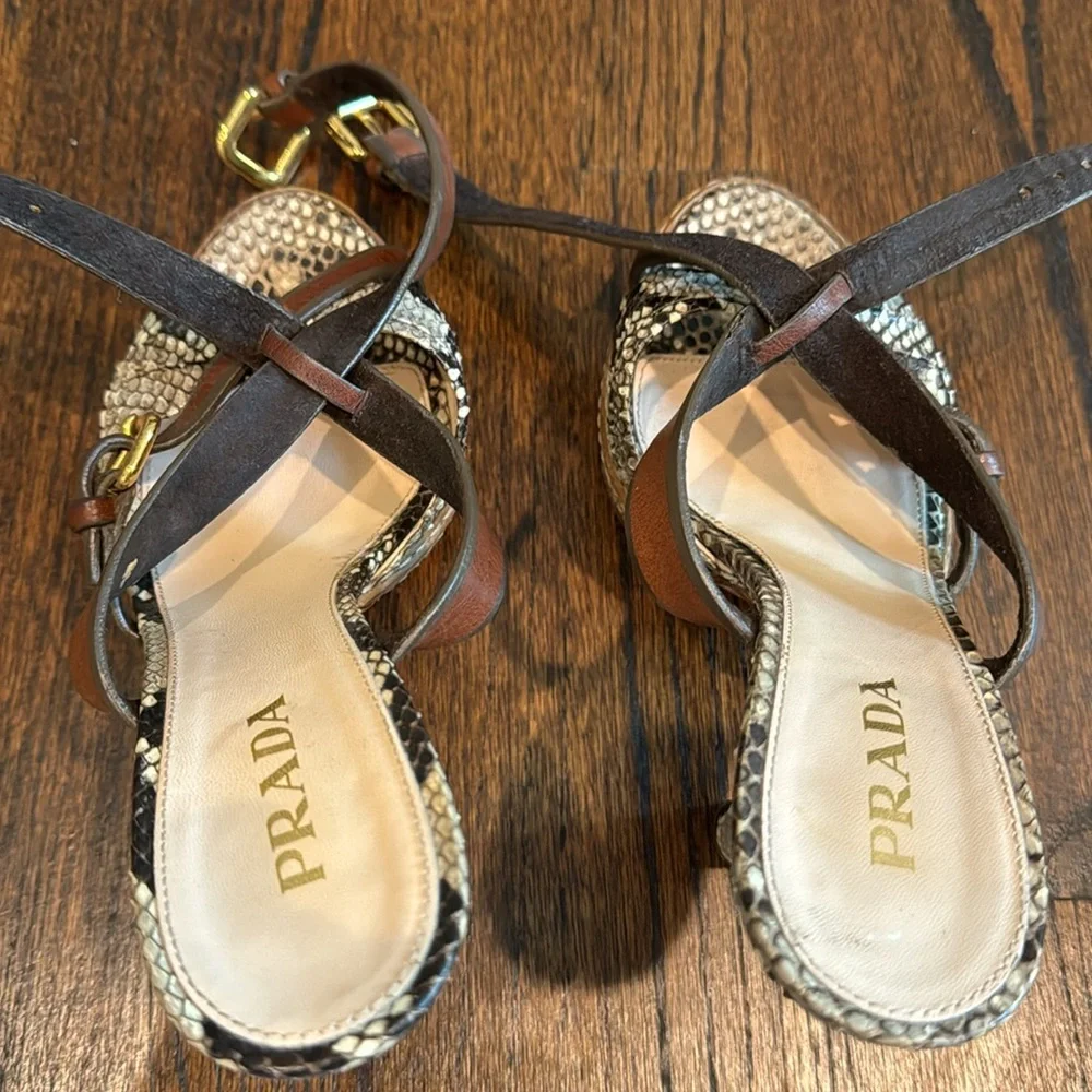 Prada Python Heels - Picture 7 of 8